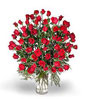 Rose Thailand